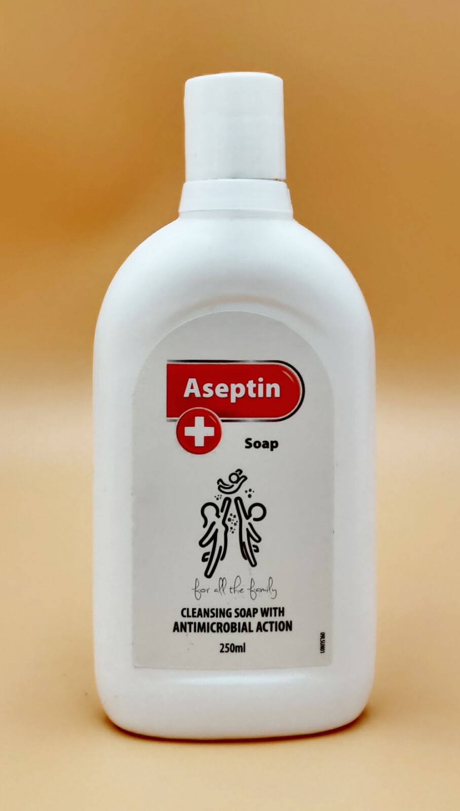 Aseptin Antiseptic Wash-0