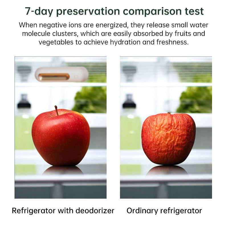 Ozoori Rechargeable Fridge Deodorizer – Odor Eliminator for Kitchen, Freezer & Food Storage